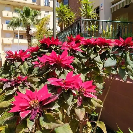 Medina, Ganz Nah Zum Strand Apartamento Nerja
